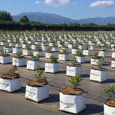Pelemix Coir - Irribiz Australia